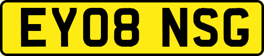 EY08NSG