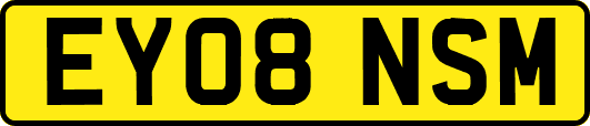 EY08NSM