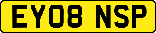 EY08NSP