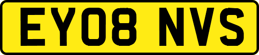 EY08NVS