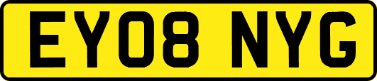 EY08NYG