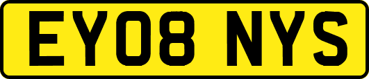 EY08NYS