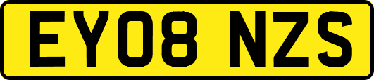 EY08NZS