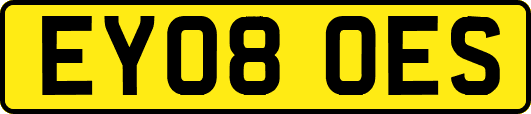 EY08OES