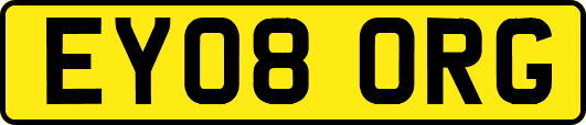 EY08ORG