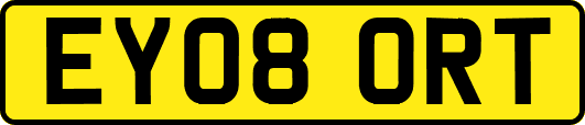 EY08ORT