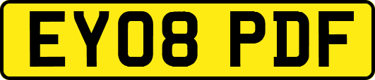 EY08PDF