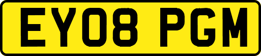 EY08PGM