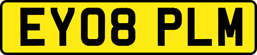 EY08PLM