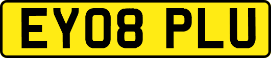 EY08PLU