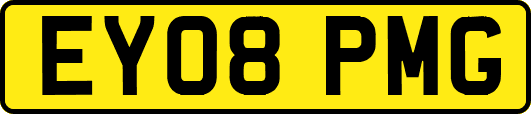 EY08PMG