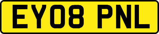 EY08PNL