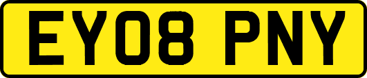 EY08PNY