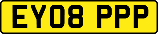 EY08PPP