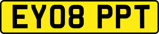 EY08PPT
