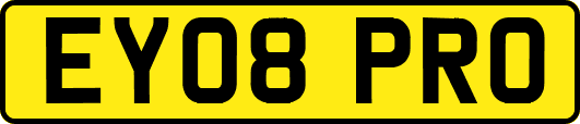 EY08PRO