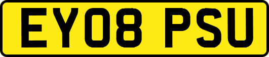 EY08PSU
