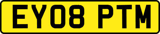 EY08PTM