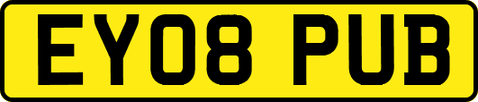 EY08PUB