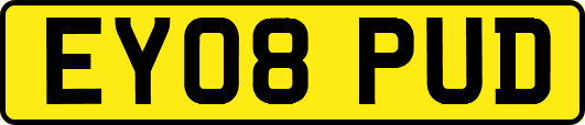 EY08PUD