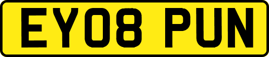 EY08PUN