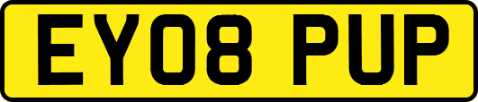 EY08PUP