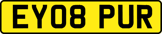 EY08PUR