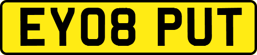 EY08PUT
