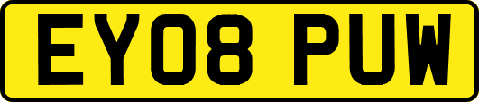 EY08PUW