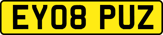 EY08PUZ