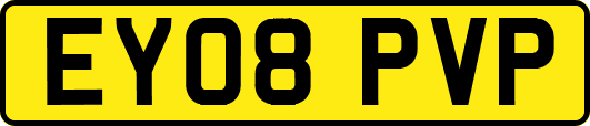 EY08PVP