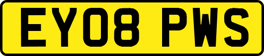 EY08PWS
