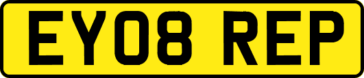 EY08REP