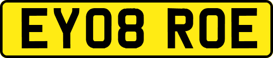 EY08ROE