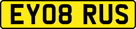 EY08RUS