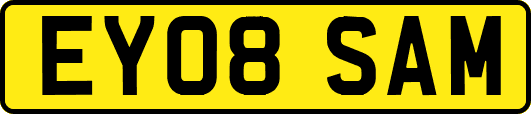 EY08SAM