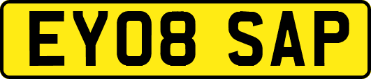 EY08SAP