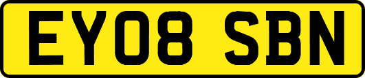 EY08SBN