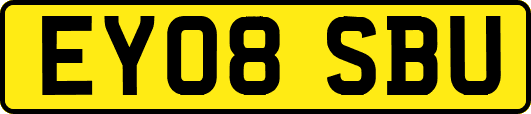 EY08SBU