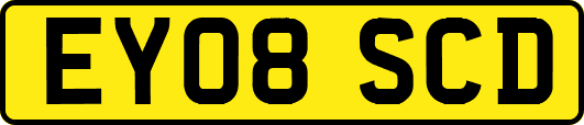 EY08SCD