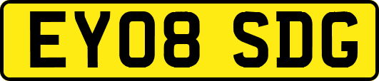 EY08SDG