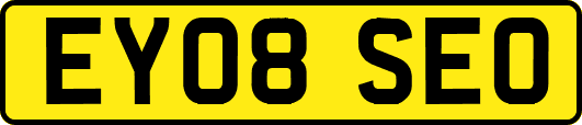EY08SEO