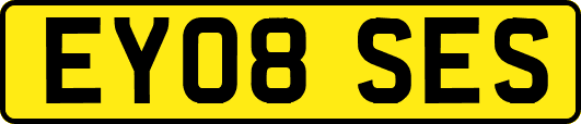 EY08SES
