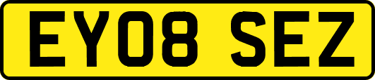 EY08SEZ