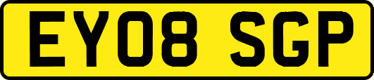 EY08SGP