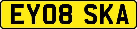 EY08SKA