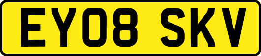 EY08SKV