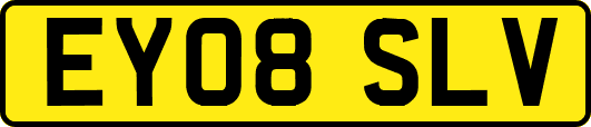 EY08SLV