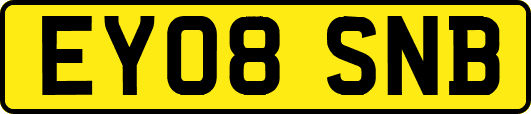 EY08SNB