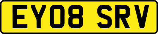 EY08SRV